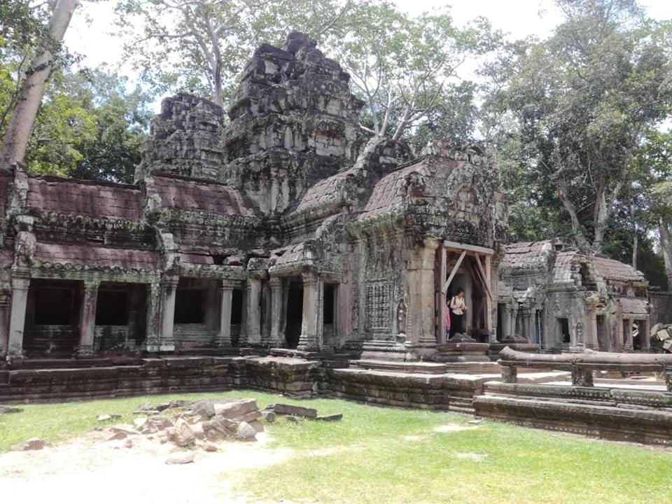 Hotel Angkor Magic Tree Boutique à Siem Reap Extérieur photo